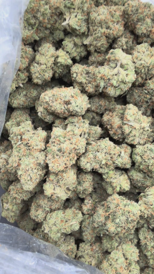 Exotic Jack Herer Bigs