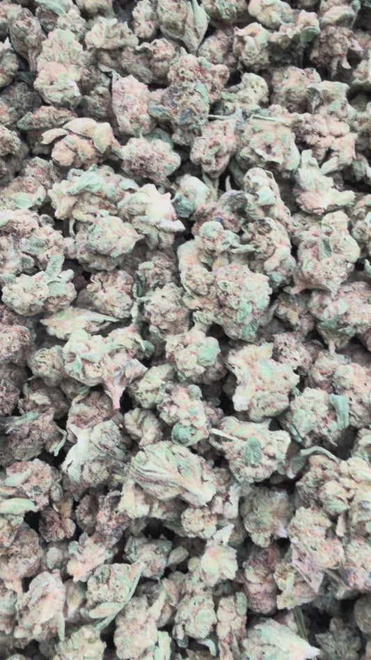 Gelato Smalls