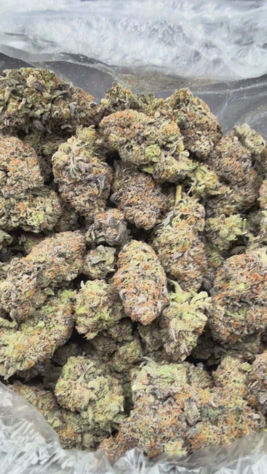 Pre 98 Bubba Bigs
