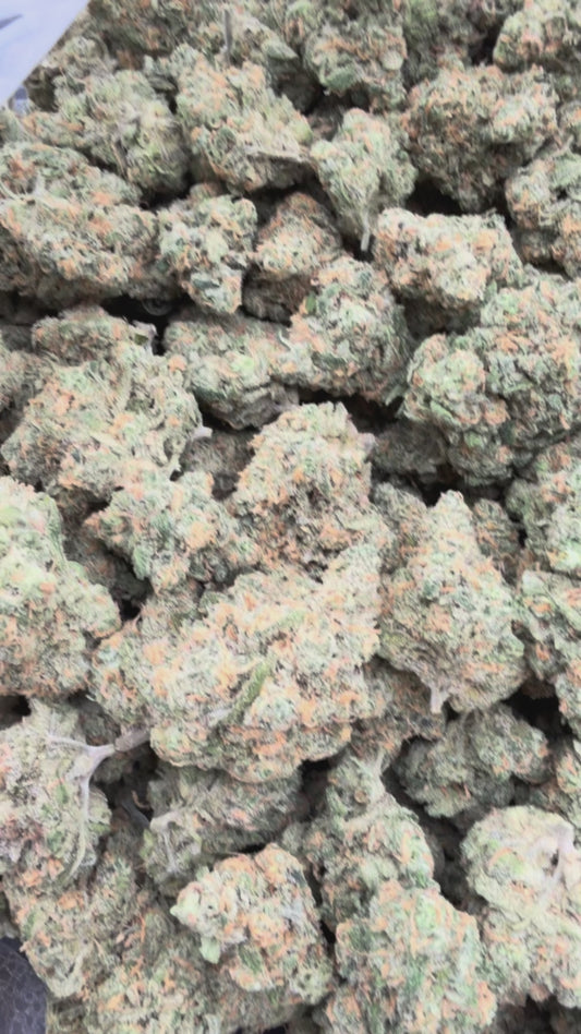 Exotic Blue Dream Bigs