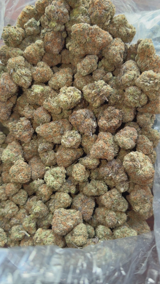 Blue Nerds Bigs