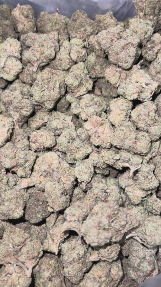 Gelato 33 Bigs