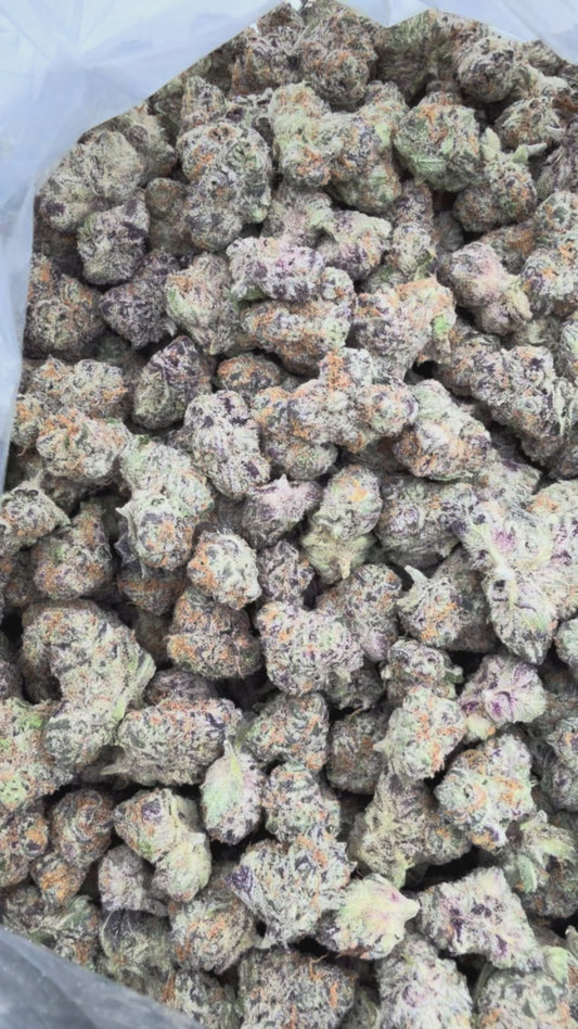 Exotic Cherry Dosi Smalls